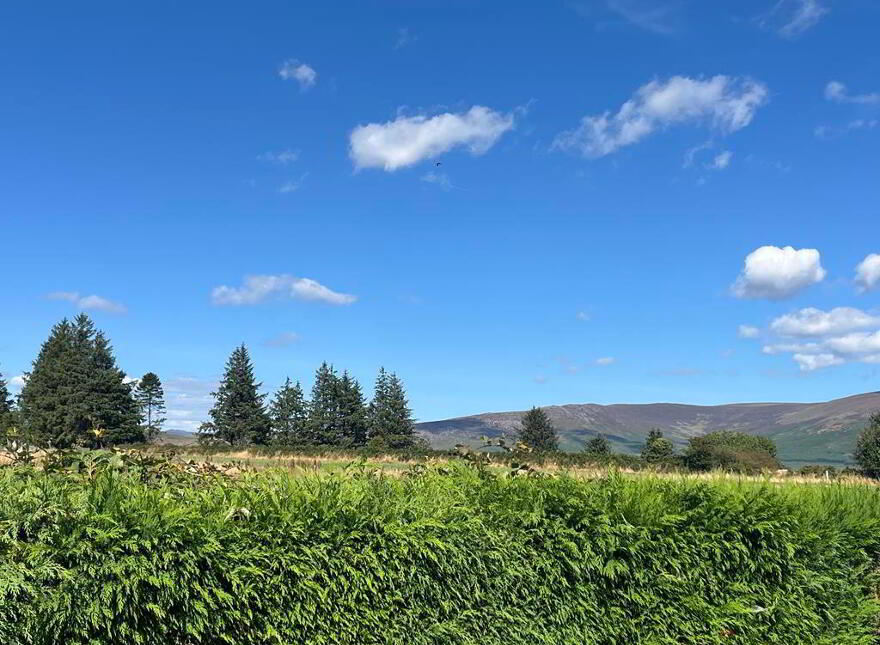 Knockboy, Ballinamult, E91DK60