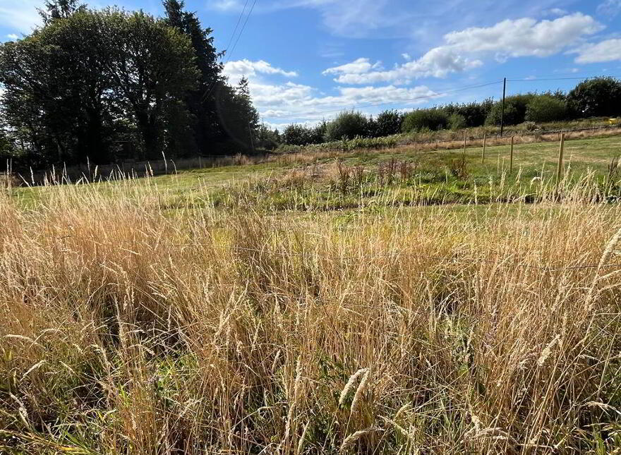 Knockboy, Ballinamult, E91DK60