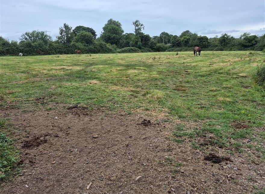 Mooretown, Slane, C15WN30