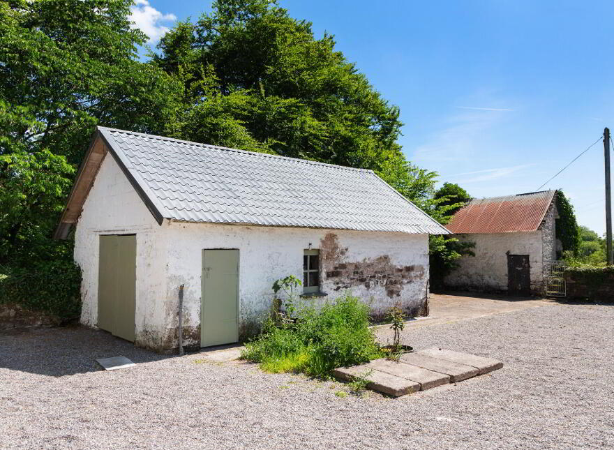 Caherbrack On 10.6 Acres, Ballinamult, Ballinamult, E91PX74