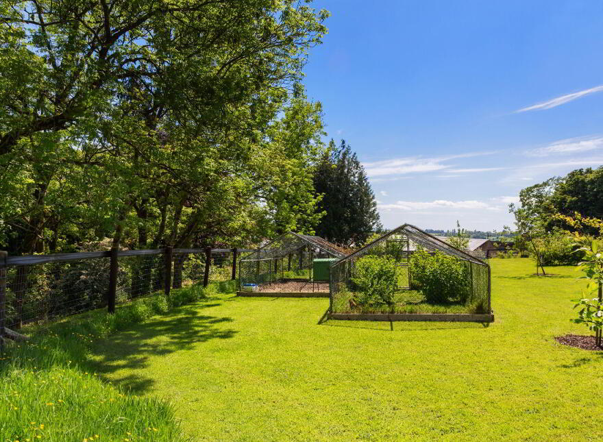 Caherbrack On 10.6 Acres, Ballinamult, Ballinamult, E91PX74