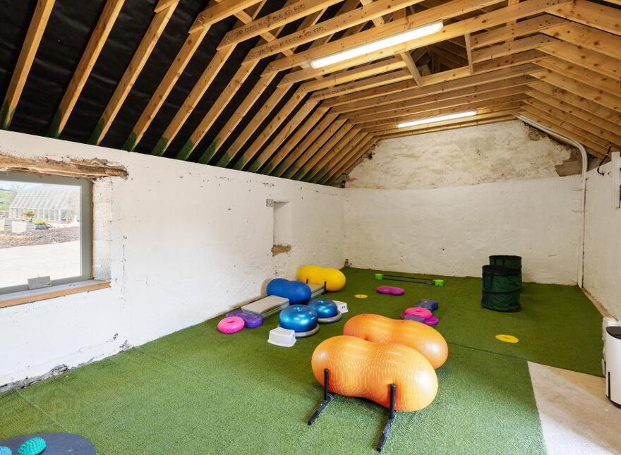 Caherbrack On 10.6 Acres, Ballinamult, Ballinamult, E91PX74