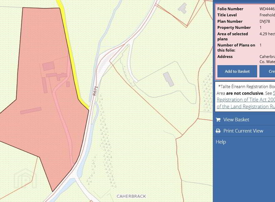 Caherbrack On 10.6 Acres, Ballinamult, Ballinamult, E91PX74