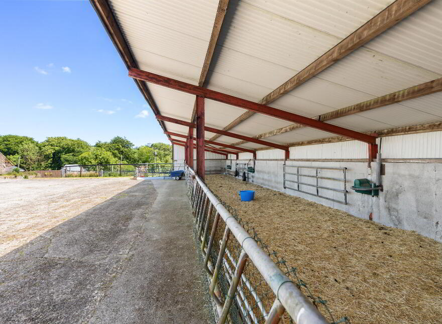 Caherbrack On 10.6 Acres, Ballinamult, Ballinamult, E91PX74