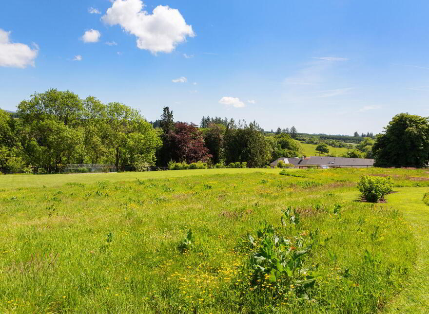 Caherbrack On 10.6 Acres, Ballinamult, Ballinamult, E91PX74