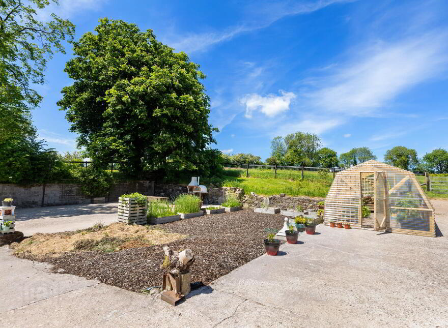 Caherbrack On 10.6 Acres, Ballinamult, Ballinamult, E91PX74