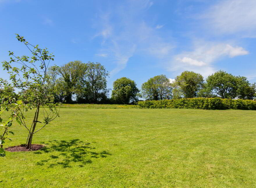 Caherbrack On 10.6 Acres, Ballinamult, Ballinamult, E91PX74