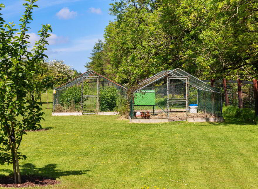 Caherbrack On 10.6 Acres, Ballinamult, Ballinamult, E91PX74