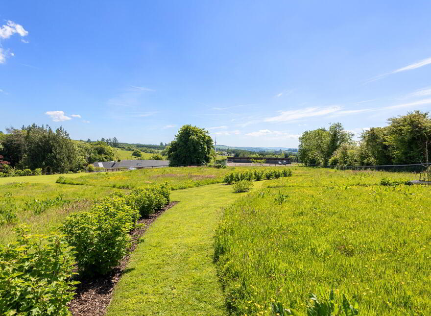 Caherbrack On 10.6 Acres, Ballinamult, Ballinamult, E91PX74