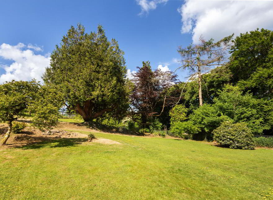 Caherbrack On 10.6 Acres, Ballinamult, Ballinamult, E91PX74