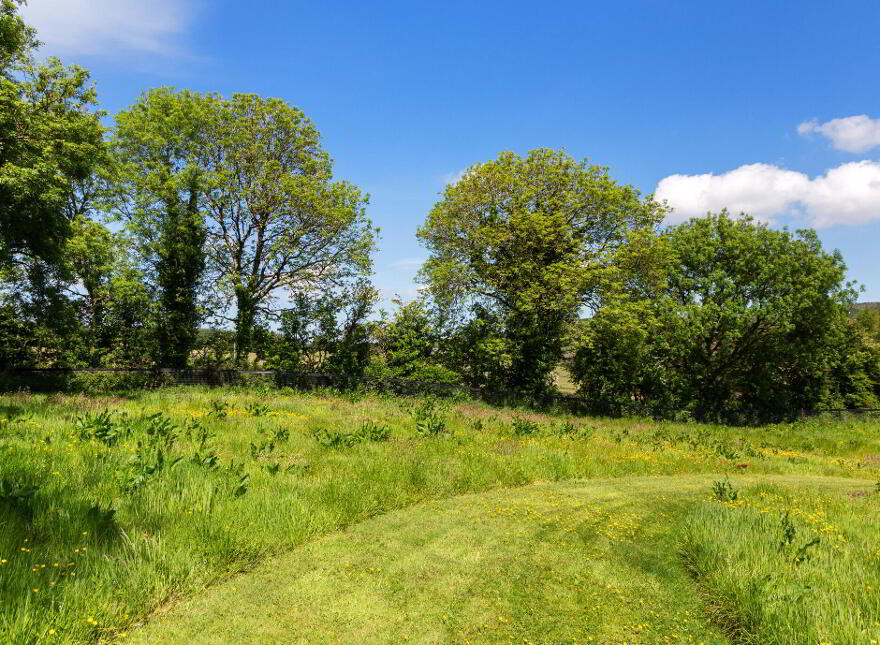 Caherbrack On 10.6 Acres, Ballinamult, Ballinamult, E91PX74