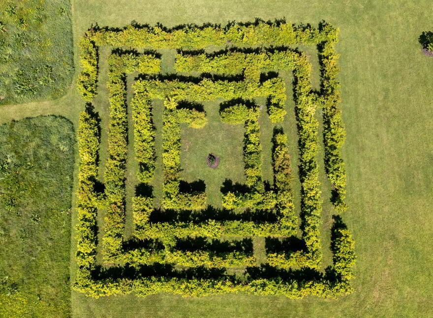 Caherbrack On 10.6 Acres, Ballinamult, Ballinamult, E91PX74