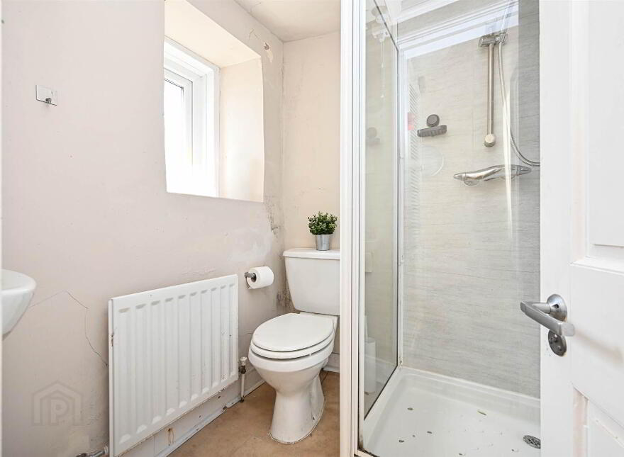 4 Britches Close, Downpatrick, BT30 6AB