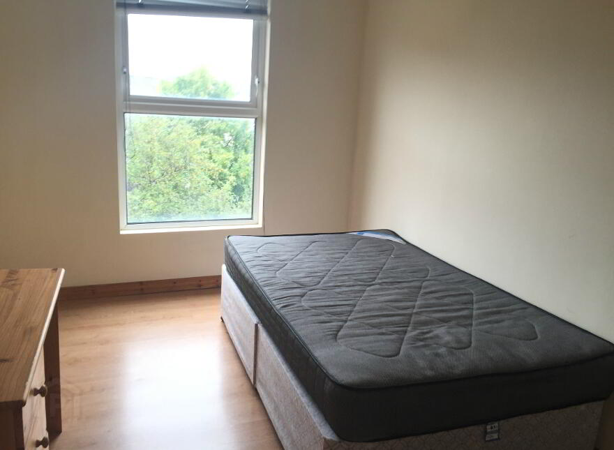 2, 155 University Street, Belfast, BT7 1HR