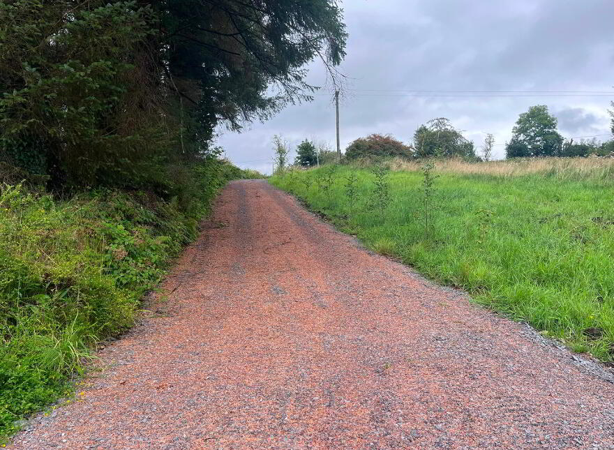 Derrygolagh, Cloonloo, Boyle, F52YT20