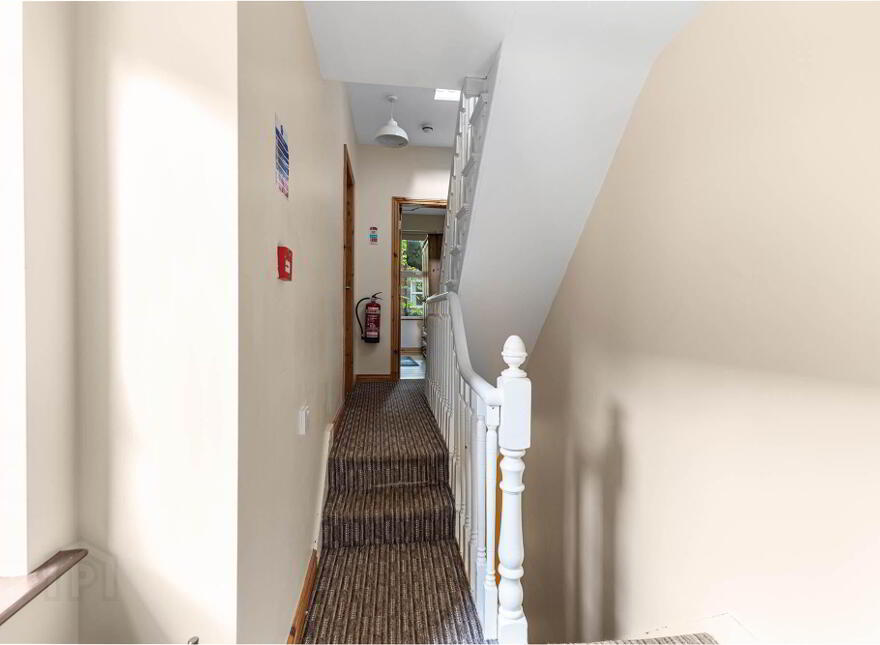 6 Collingwood Avenue, Belfast, BT7 1QT