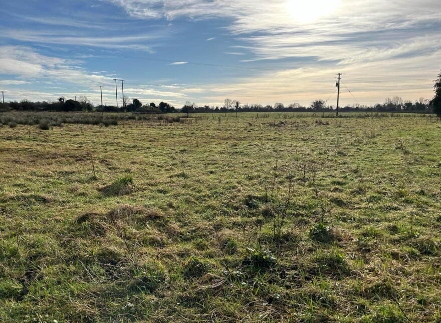 Trascan, Portarlington