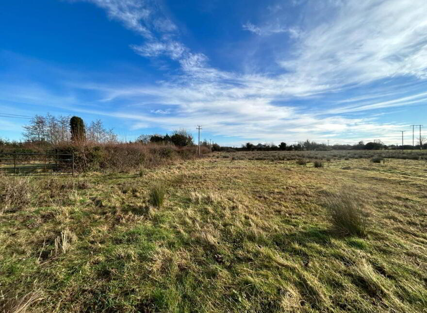Trascan, Portarlington