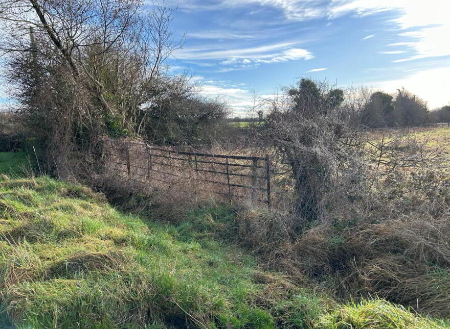 Trascan, Portarlington