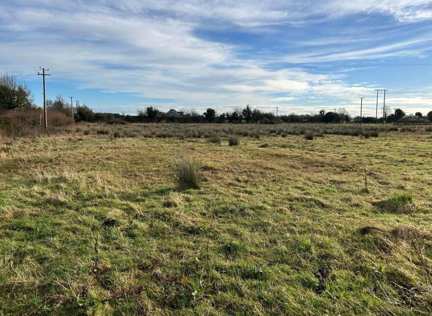 1 18ha, Acres, Trascan, Portarlington, R32P9P3