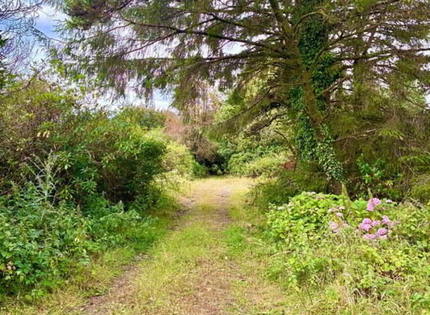 Knocknaglogh, Dungarvan, P51K097
