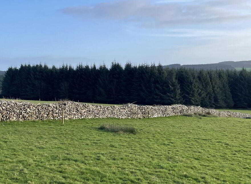 Knocknaglogh, Dungarvan, P51K097