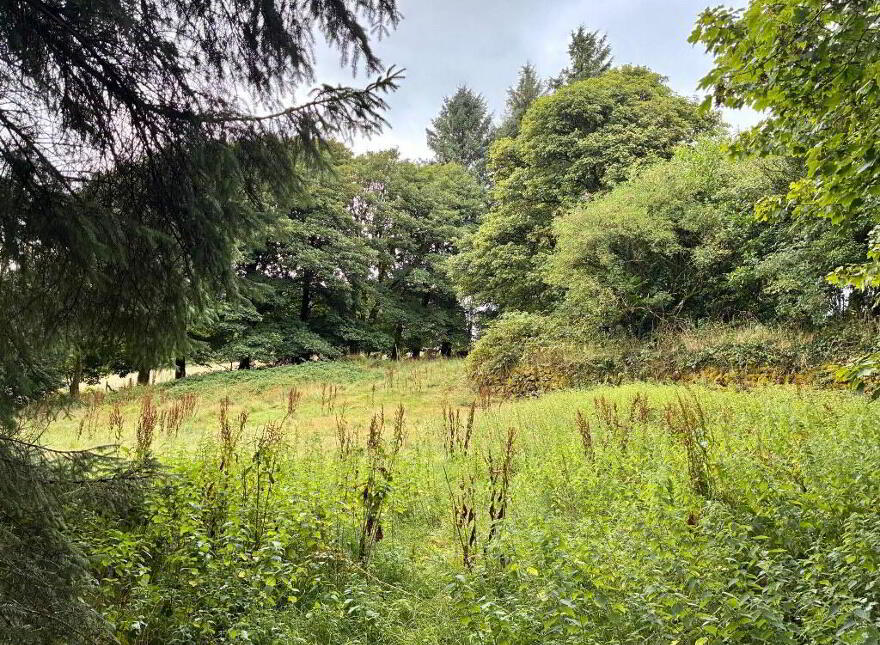 Knocknaglogh, Dungarvan, P51K097