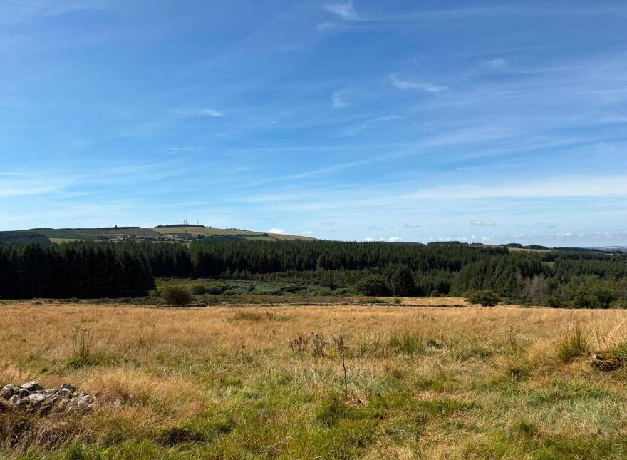 Knocknaglogh, Dungarvan, P51K097