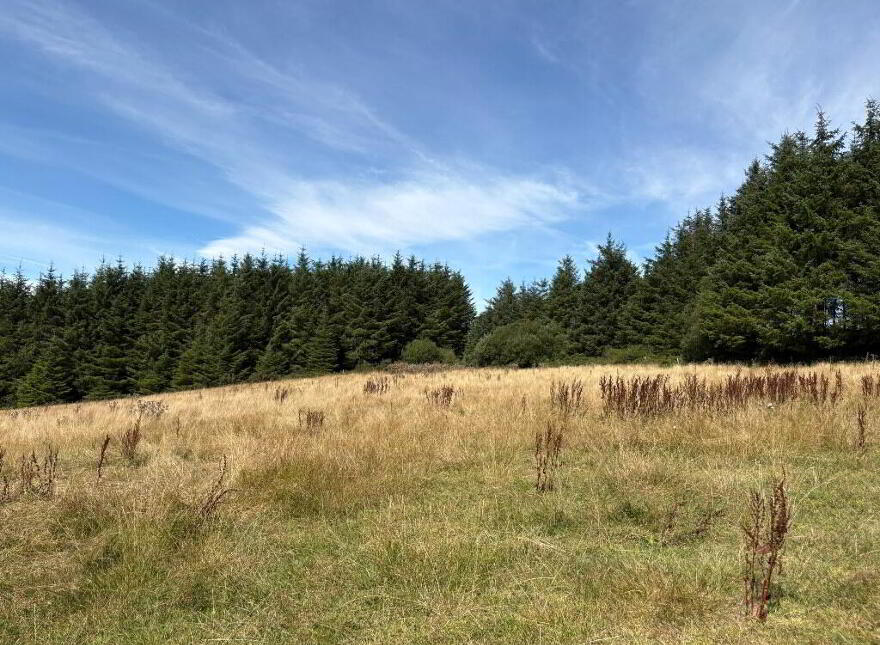 Knocknaglogh, Dungarvan, P51K097