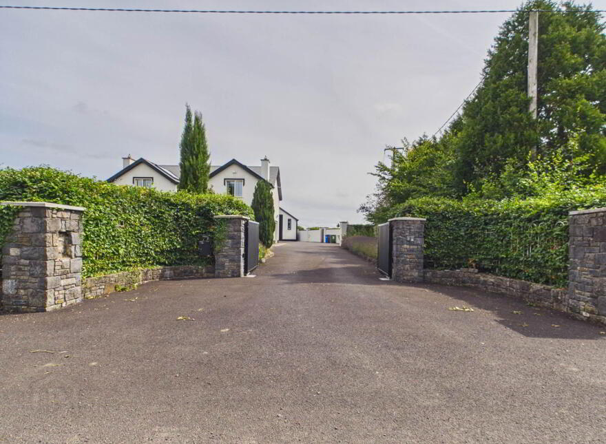 Phoenix Down, Youngstown, Athy, R14EH42