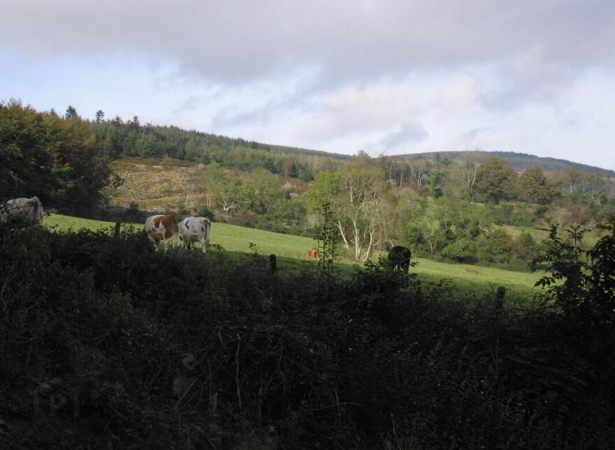 Altidore Castle Gate Lodge, Kilpedder, A63R990
