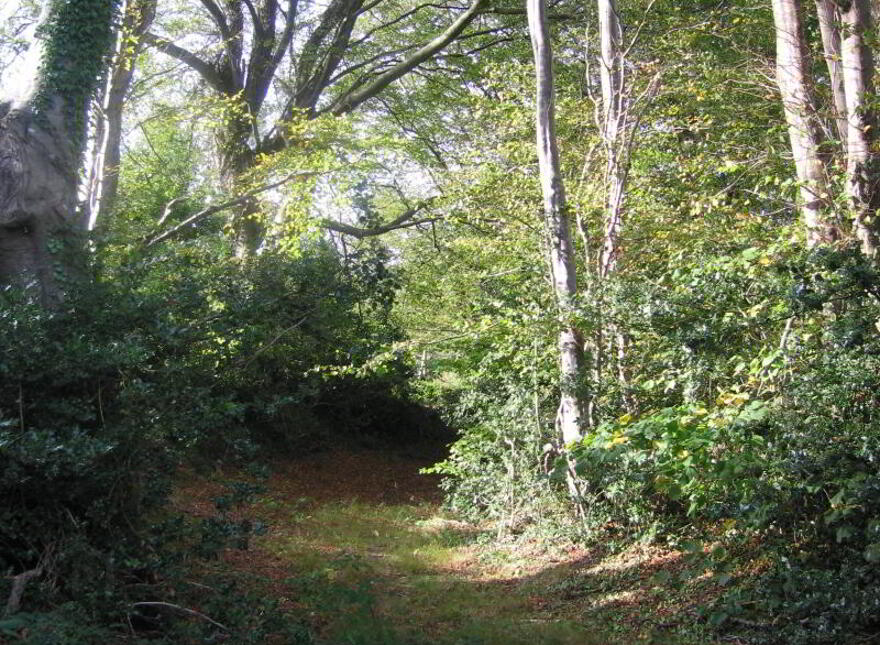 Altidore Castle Gate Lodge, Kilpedder, A63R990
