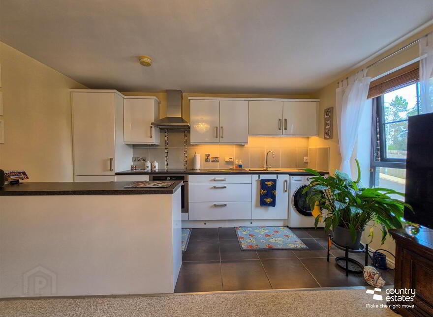 20 The Brooks, Burnside, Ballyclare, BT39 0NW
