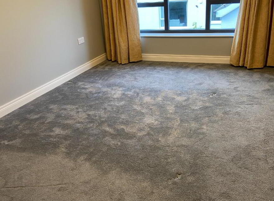 Newforge Lane, Belfast, BT9 5NW