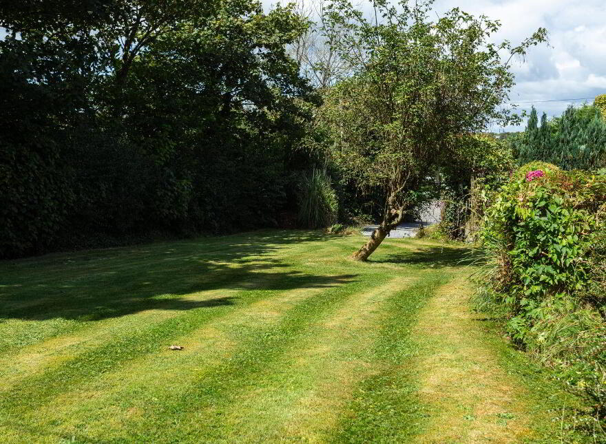 Cork Road, Skibbereen, P81EV72