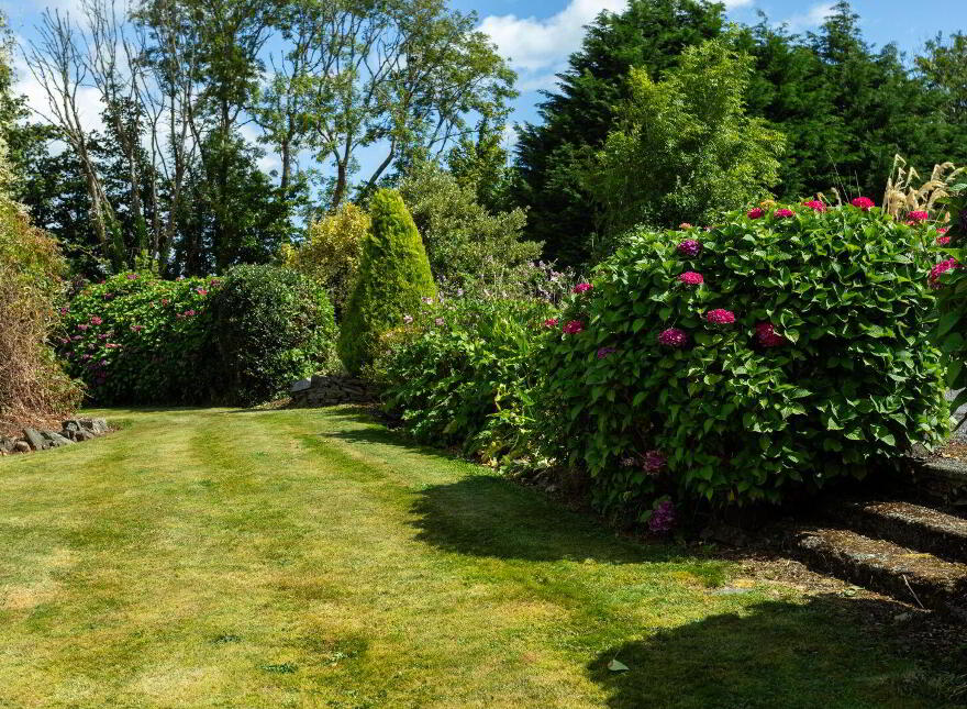 Cork Road, Skibbereen, P81EV72