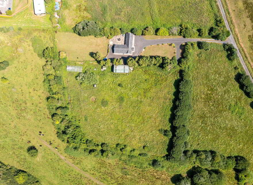 Gort Na Greine, Blackwood, Coolearagh, Coolearagh, W91CDH7