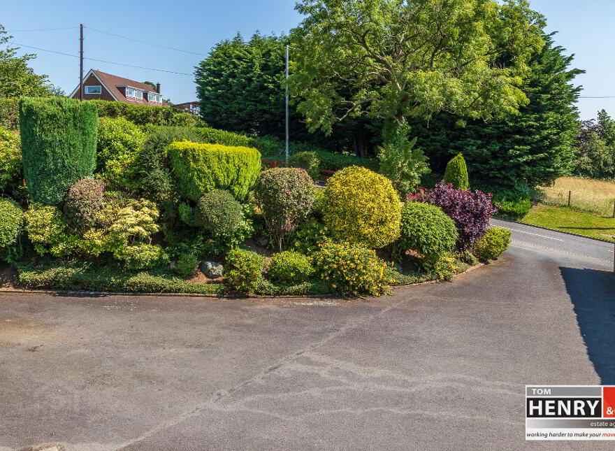 6 Mullaghadun Lane, Killymeal Road, Dungannon, BT71 6LH