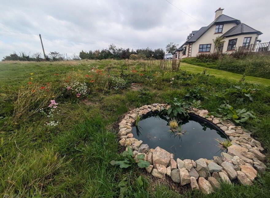 Boderan, Campile, Ramsgrange, Y34A250