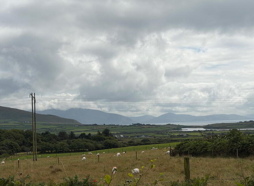Ballyrishteen, Dingle, Lispole, V92TP64