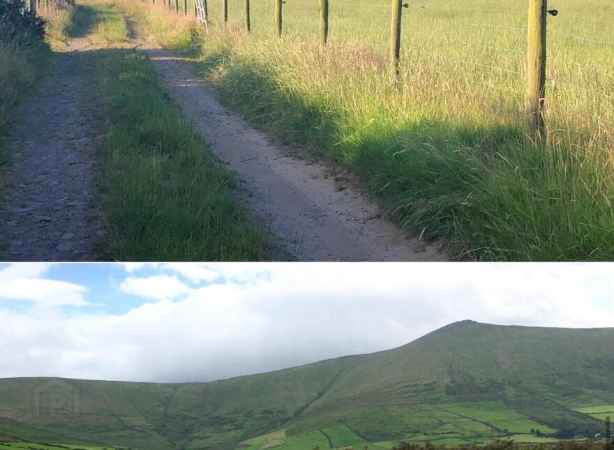 Ballyrishteen, Dingle, Lispole, V92TP64