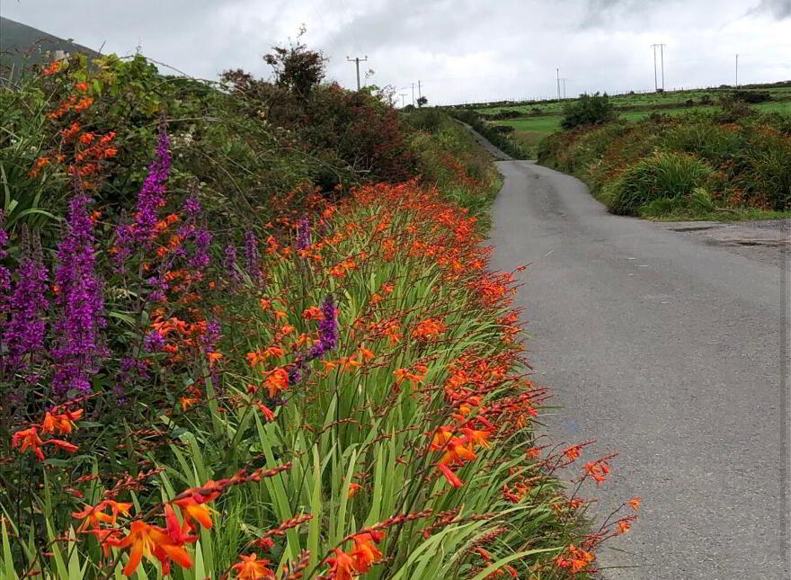 Ballyrishteen, Dingle, Lispole, V92TP64