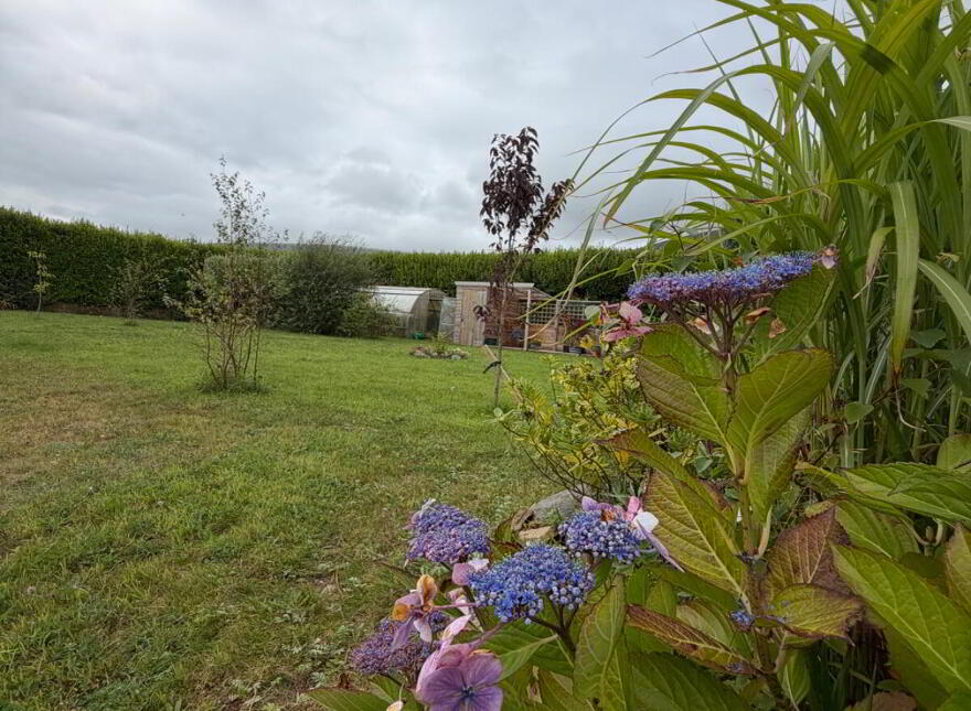 Ballyrishteen, Dingle, Lispole, V92TP64