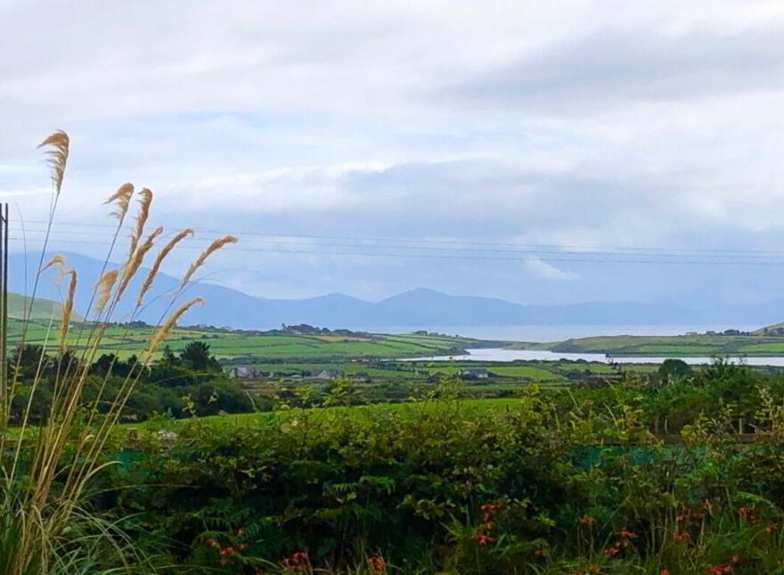 Ballyrishteen, Dingle, Lispole, V92TP64