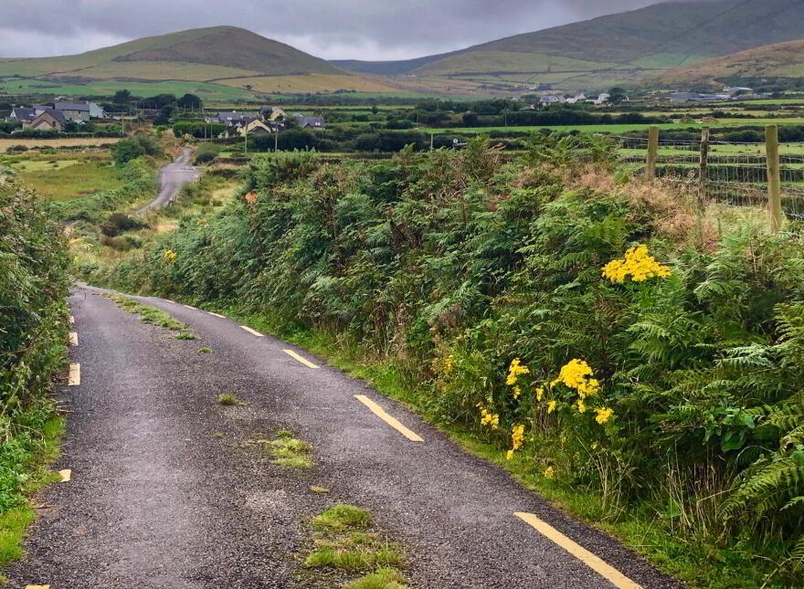 Ballyrishteen, Dingle, Lispole, V92TP64