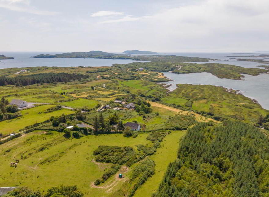 Inish Free, Ardnagrena, Ringarogy, Baltimore, P81VP70