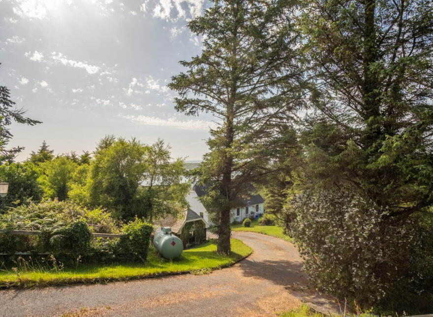 Inish Free, Ardnagrena, Ringarogy, Baltimore, P81VP70