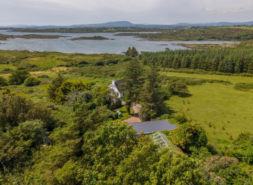 Inish Free, Ardnagrena, Ringarogy, Baltimore, P81VP70