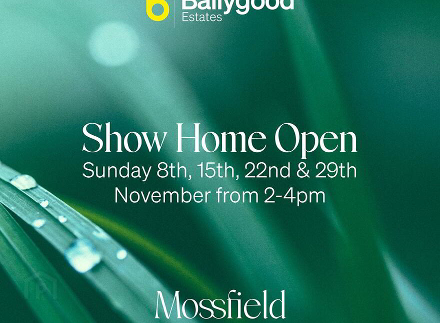 Style I, Mossfield, Jubilee Road, Ballyclare