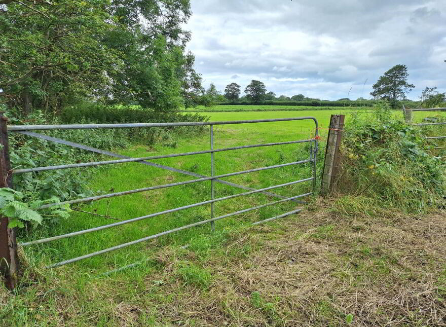 Attractive Agricultural Land, Kilmoyle Road, Ballymoney, BT53 6NR